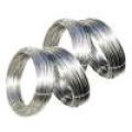 Stainless Steel Wire (YQ-001)